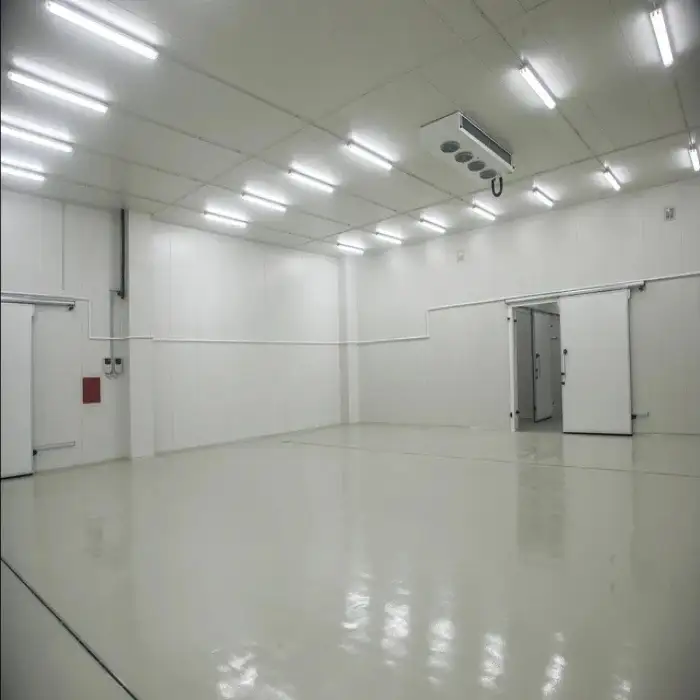 3PH 380V 50HZ Walk-In Cooler  Cold Storage Room With 20 cm PU Panel -30C Blaster Freezer For Meat And Ice-cream 10m x 5m x 5m