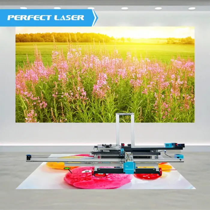 Perfect Laser automatic 3D Vertical Effect mural art wall Intelligent inkjet printer printing machine for painting on wall glass