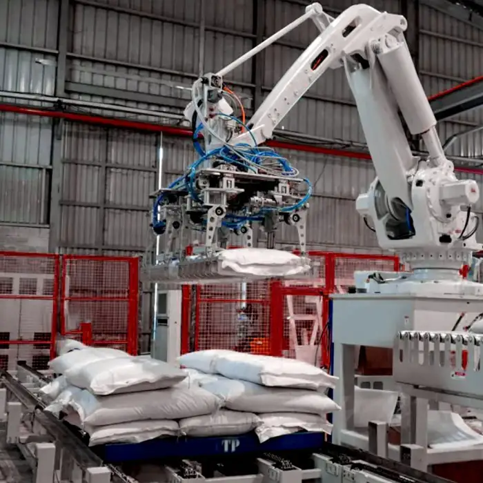 Bag Palletizing System: Robot Stacker for Boxes and Cartons