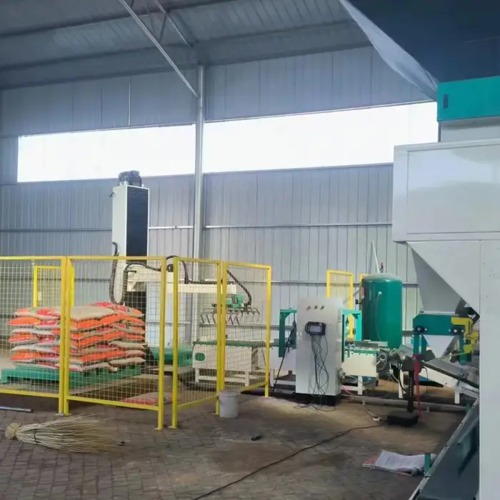 Professional Customization Robotic Column Palletizer Automatic Palletizer For Bags