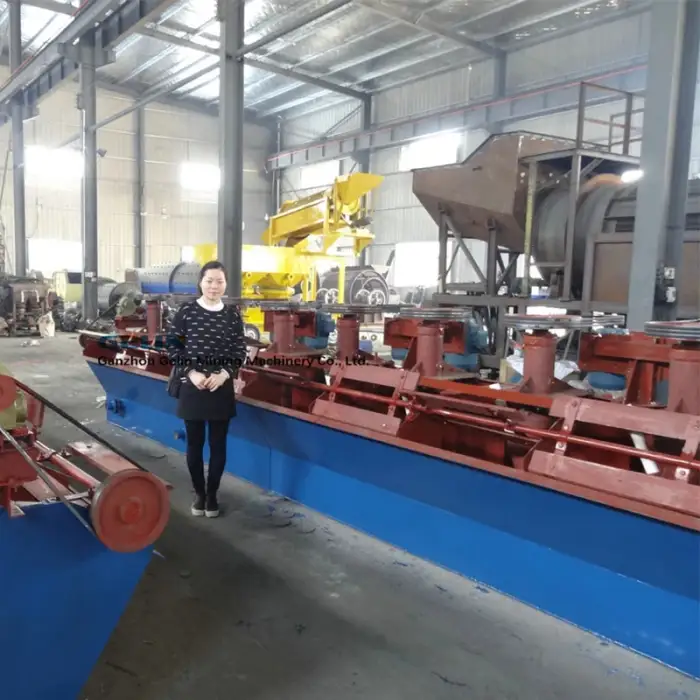 Flotation method quartz zinc & lead beneficiation plant