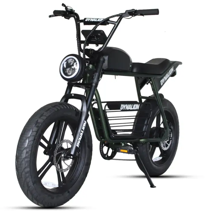 Electric Bicycle Dynalion 48V 750W 1000W