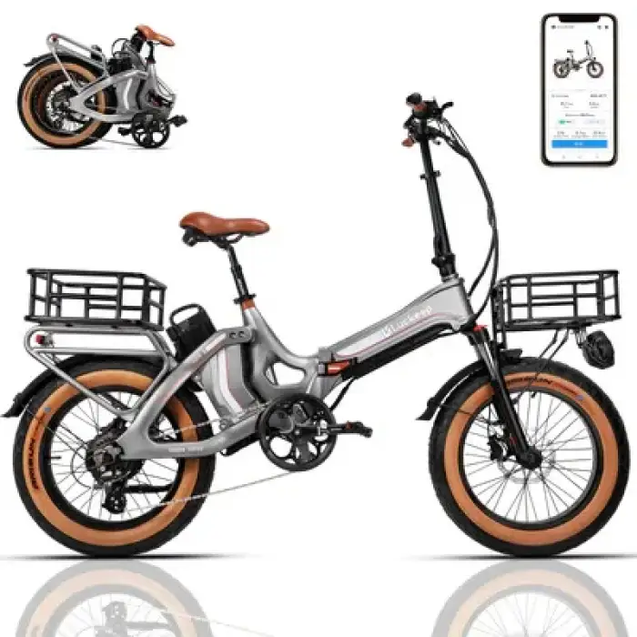 Folding Electric Bicycle Lithium Battery 48V Bicycle Manual Oil Brake Leisure City Bike