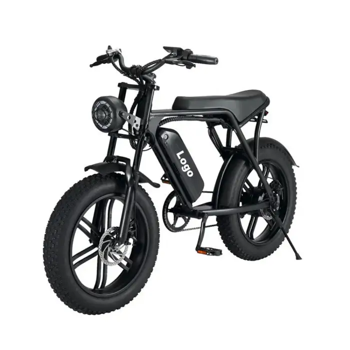 Leisure Mountain E-Bike: 7-Speed, 20-Inch Fat Tire Off-Road E-Bike