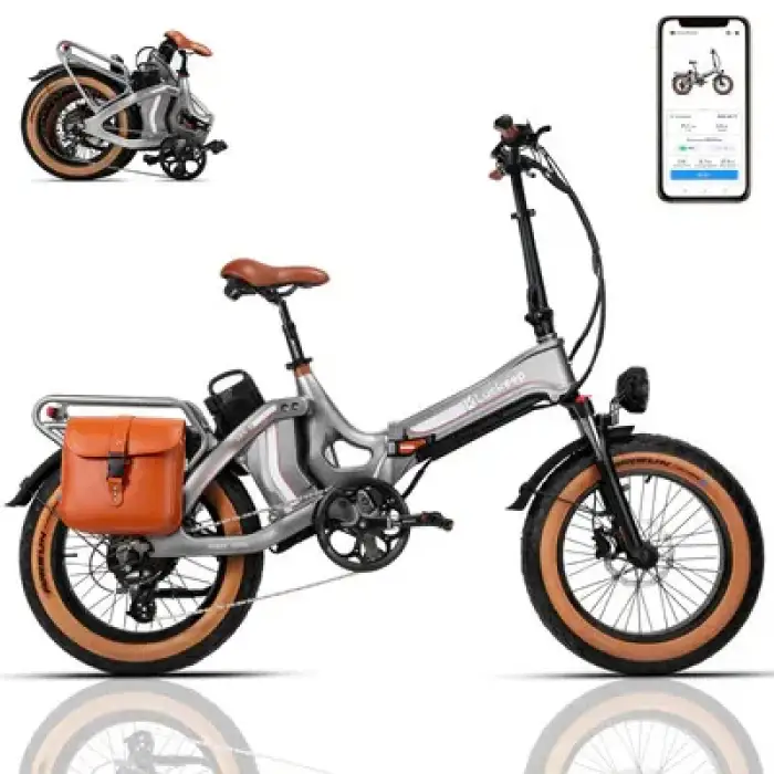 Folding Electric Bicycle Lithium Battery 48V Bicycle Manual Oil Brake Leisure City Bike