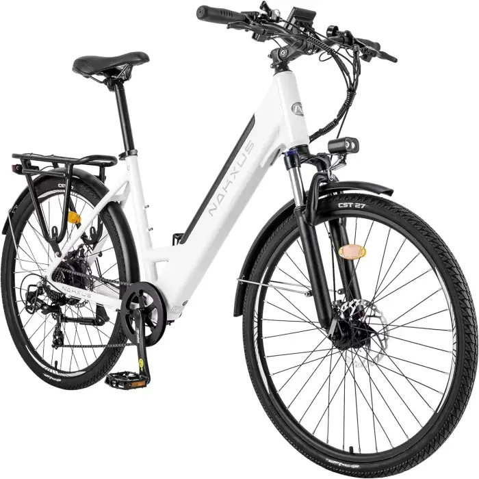 Electric Bike Cycles: Electric Bicycle for Adults 2024