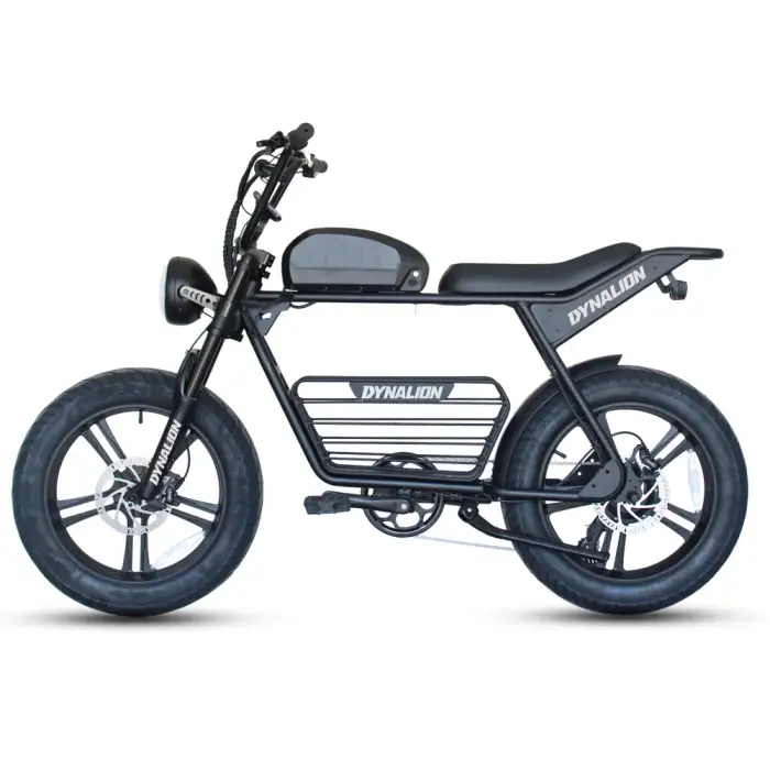 Electric Motor Bicycle Electric Quad Heavy Bike