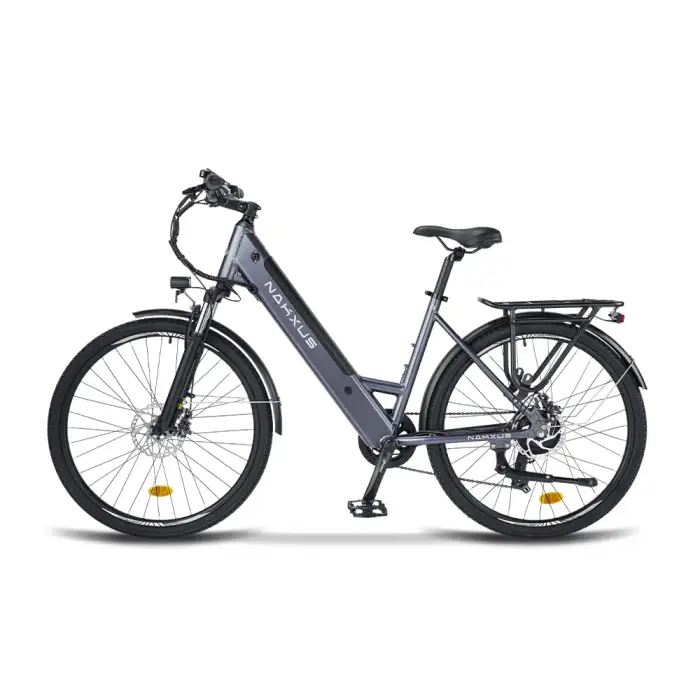 Electric Bike Cycles: Electric Bicycle for Adults 2024