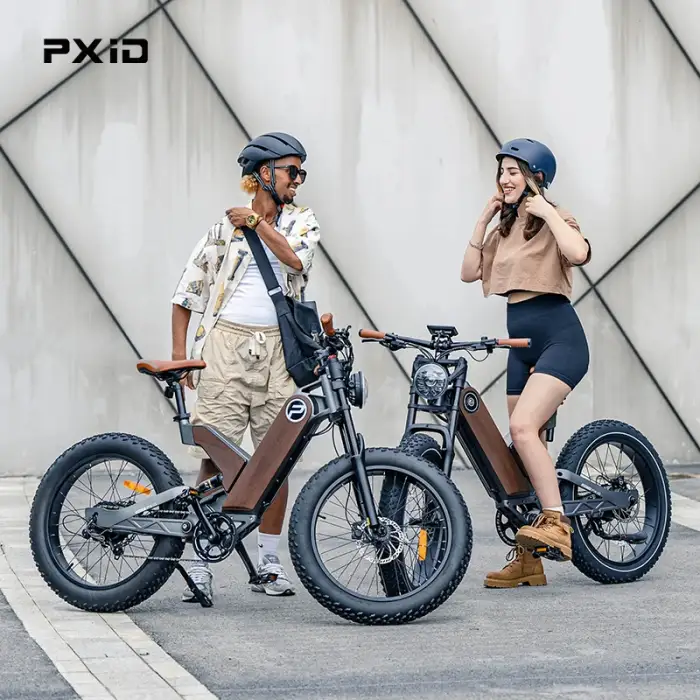 PXID Antelope P5: 1000W 20-Inch Fat Tire Dual Suspension E-Bike 2024