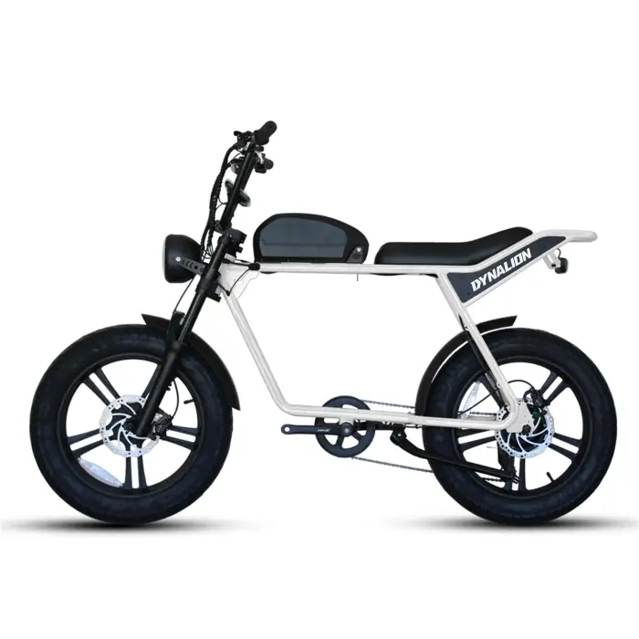 Electric Motor Bicycle Electric Quad Heavy Bike