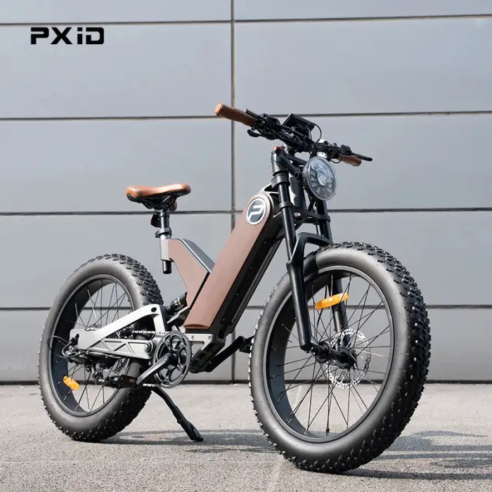 PXID Antelope P5: 1000W 20-Inch Fat Tire Dual Suspension E-Bike 2024