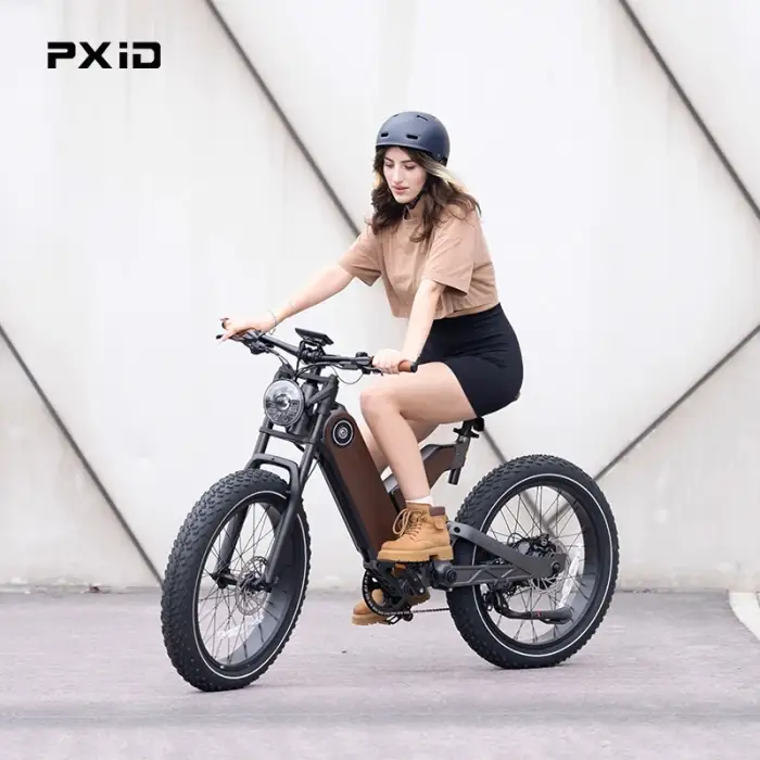 PXID Antelope P5: 1000W 20-Inch Fat Tire Dual Suspension E-Bike 2024