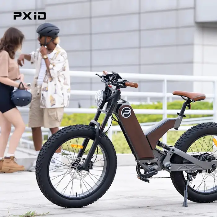 PXID Antelope P5: 1000W 20-Inch Fat Tire Dual Suspension E-Bike 2024