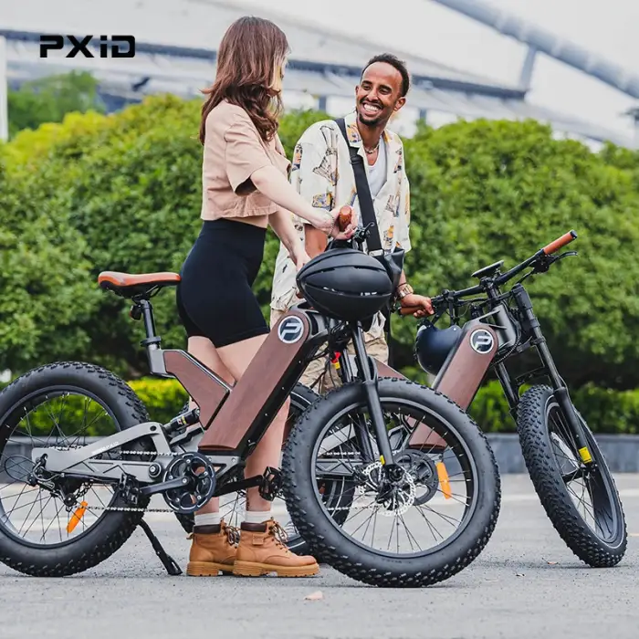 PXID Antelope P5: 1000W 20-Inch Fat Tire Dual Suspension E-Bike 2024