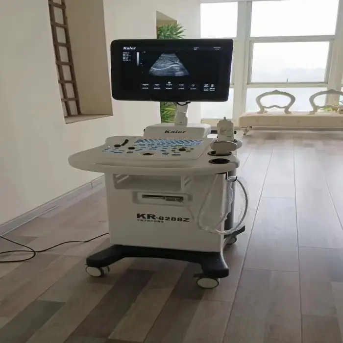 Trolley Medical Echo Machine B or W Ultrasound Scanner Machine For Clinic Hospital