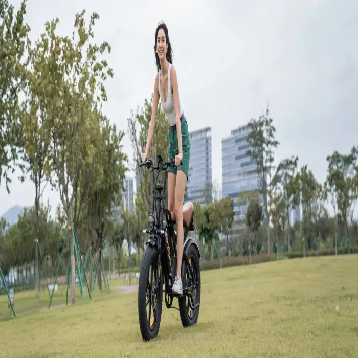 direct mountain motorcycle 1000W high-efficiency lithium battery bicycle disc brake 8-speed electric bicycle