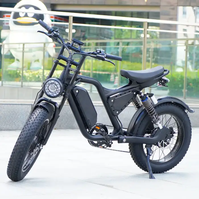 Customized urban electric cycle 7-speed dual 500W brushless motor 48V 15Ah  lithium battery off-road moped E-bike