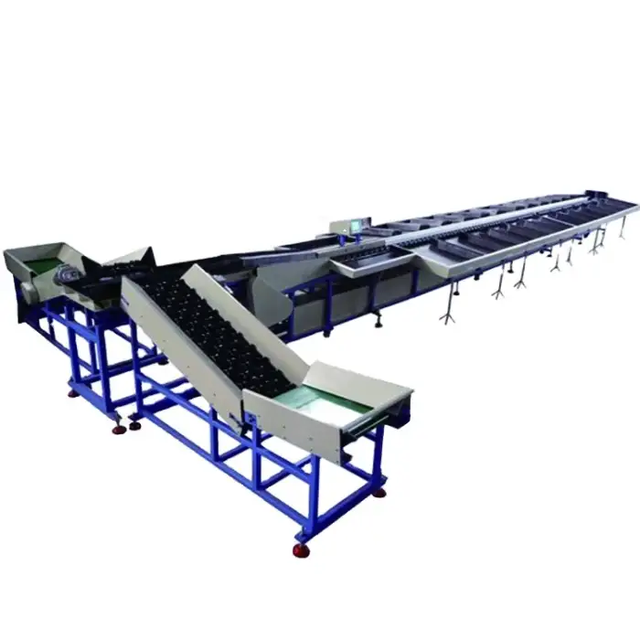 Potato washing drying sorting apple grading machine