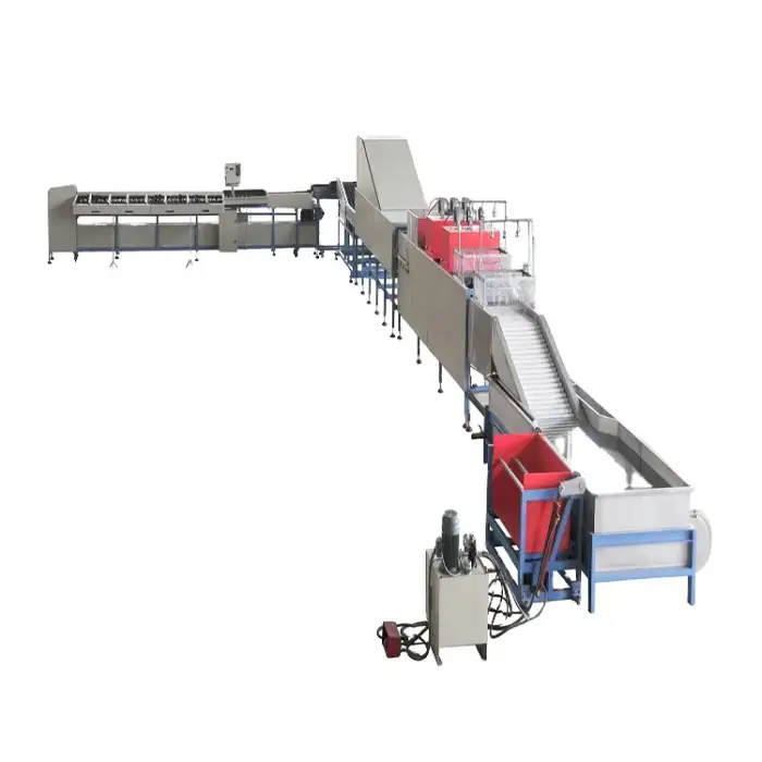 Potato washing drying sorting apple grading machine