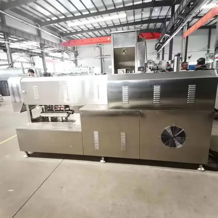 60-100kg per hour snacks food making machine for puffed food