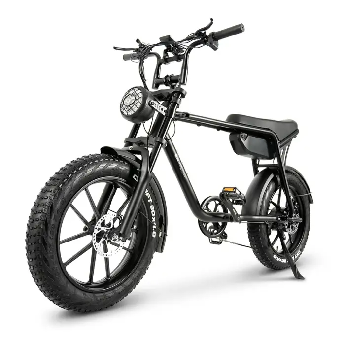 Electric folding bike 20 inch tire Electric Bicycle 48V Electric Hybrid 5 Speed Bicycle E-Bike