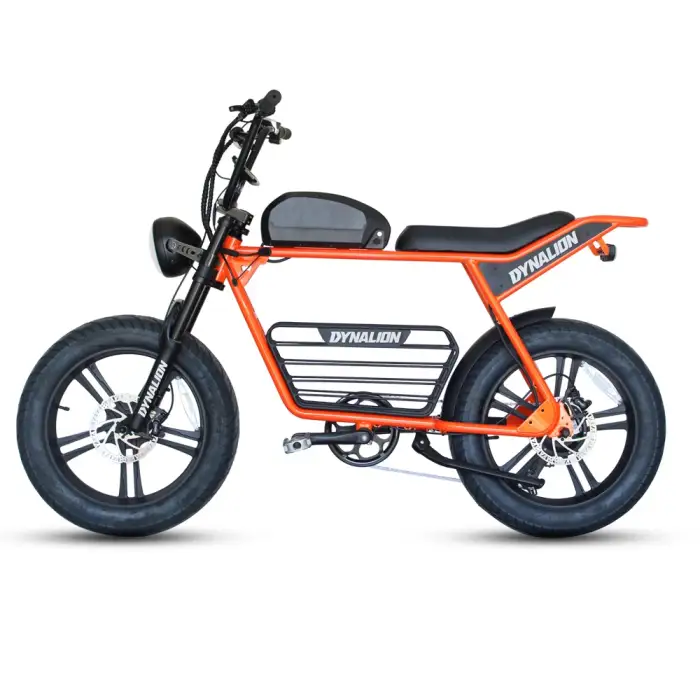 Electric E Bicycle Bike