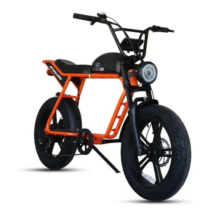 Electric E Bicycle Bike