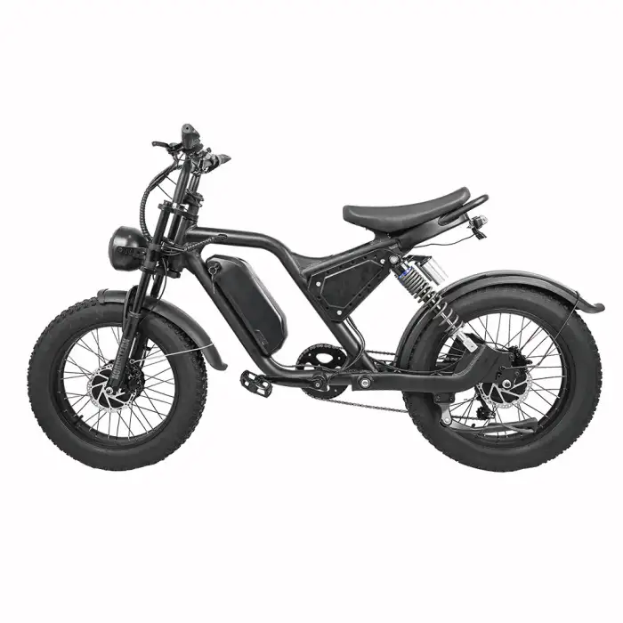 Best selling  urban electric cycle  7-speed 1000W  brushless motor 48V 15Ah  lithium battery off-road pedal ebike