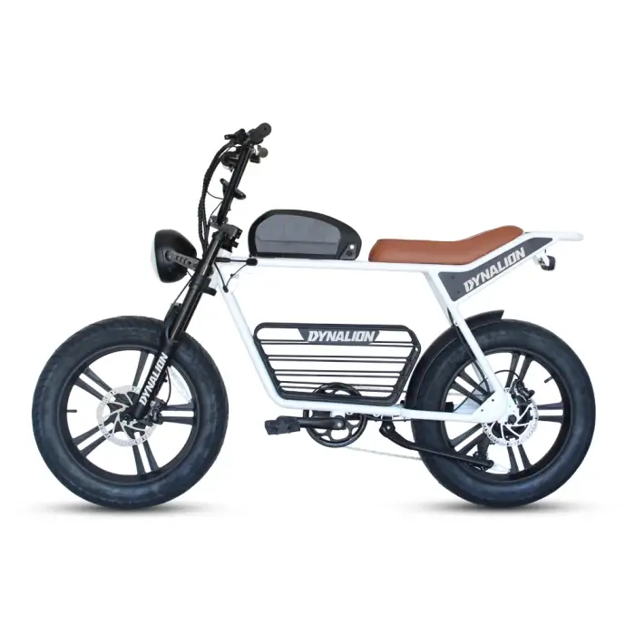 Dirt E-bike Cheapest Electric Bicycles