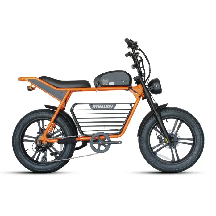 Dirt E-bike Cheapest Electric Bicycles