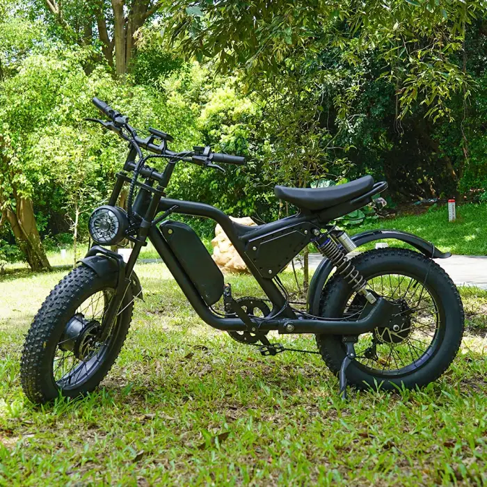 Fat Tire Electric Bike: Shimano, Aluminum Frame, Air Suspension