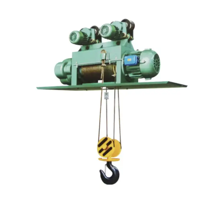 Professional Supply Material Hoisting Equipment Construction Lift Electric Hoist