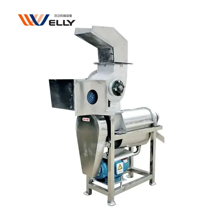 Cold Pressed Pineapple Fruit Juice Processing Machine Cold Press Ginger Juicer Extractor Commercial Apple Juicer Machine