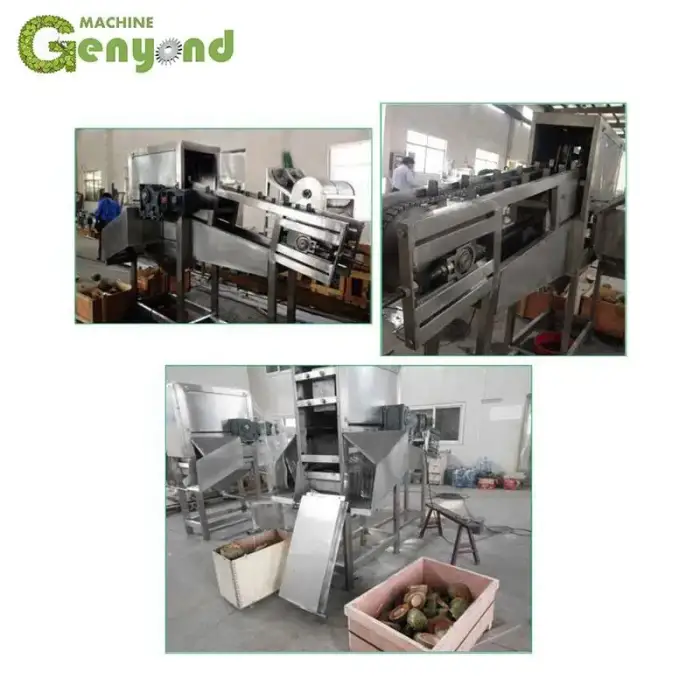 cold line Pickled Vegetables Hydraulic Cold Press basket 6L presser hydraulic slow juicer fruit and vegetable press dehydration