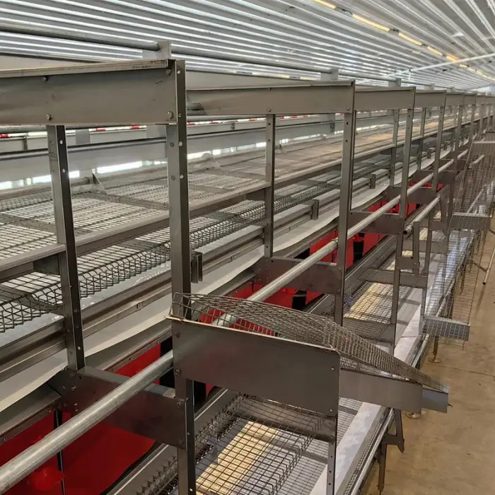 Aviary system Chicken Laying Nest Box Farm Egg Collection Cage Free Range Poultry Hen Automatic Breeder Layer Roll away