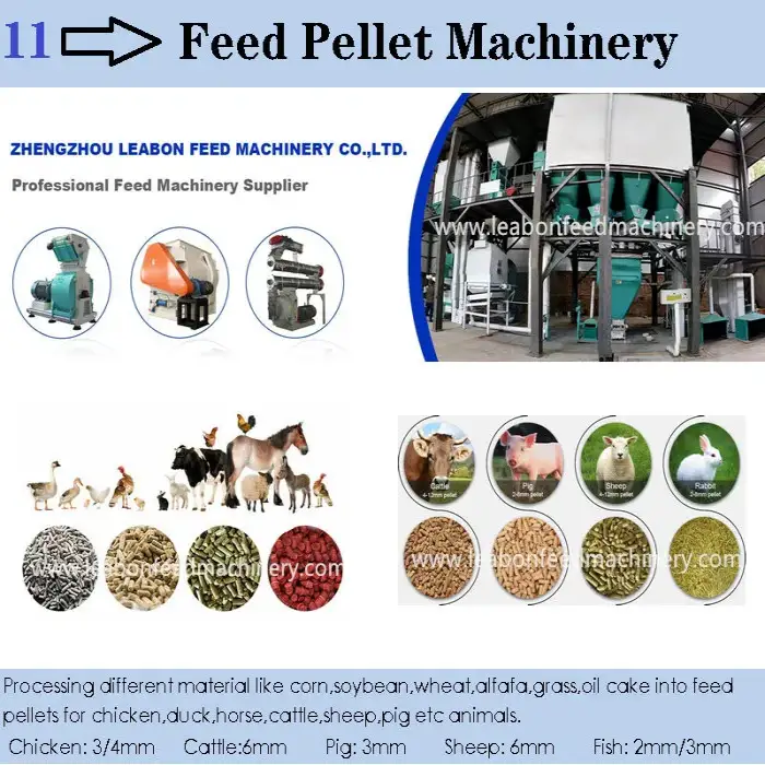 CE 3000kg per hour Poultry Feed Pellet Production Line Chicken Feed Pellet Making Machinery Animal Feed Processing Machine