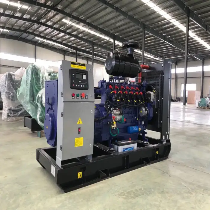 40kw 50kva Genset Plant Natural Gas Generator