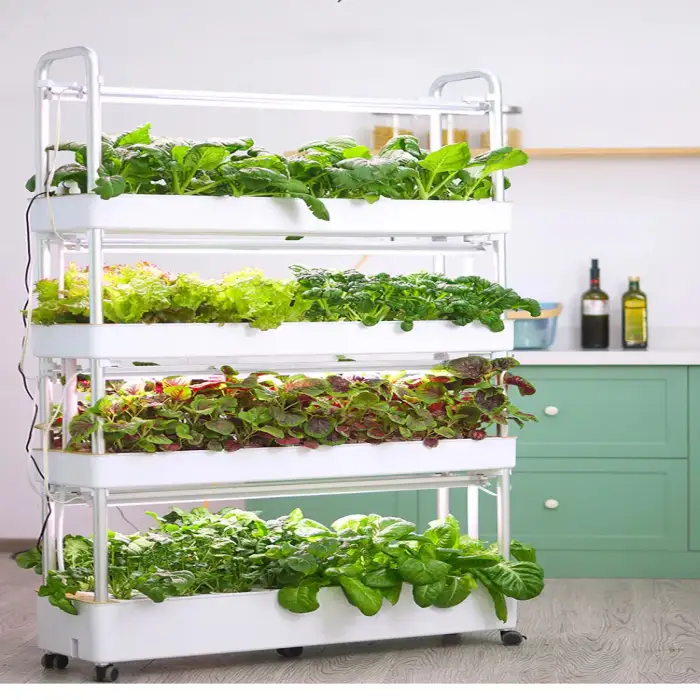 Indoor Use Garden Hydroponic, Growing Systems Vegetable Agricultural Machinery Aquaponic System For Leafy Planting