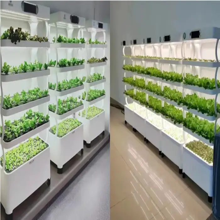 Indoor Use Garden Hydroponic, Growing Systems Vegetable Agricultural Machinery Aquaponic System For Leafy Planting