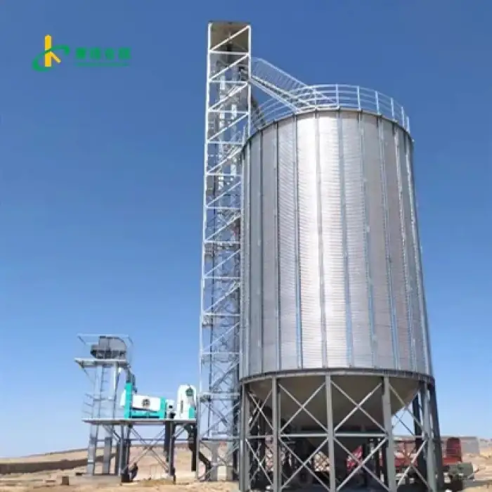 Steel Grain Silo – Automatic Grain Storage System for Poultry Farms