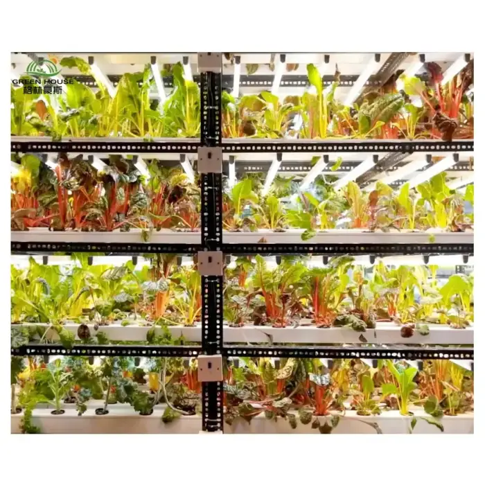 Indoor Use Garden Hydroponic, Growing Systems Vegetable Agricultural Machinery Aquaponic System For Leafy Planting