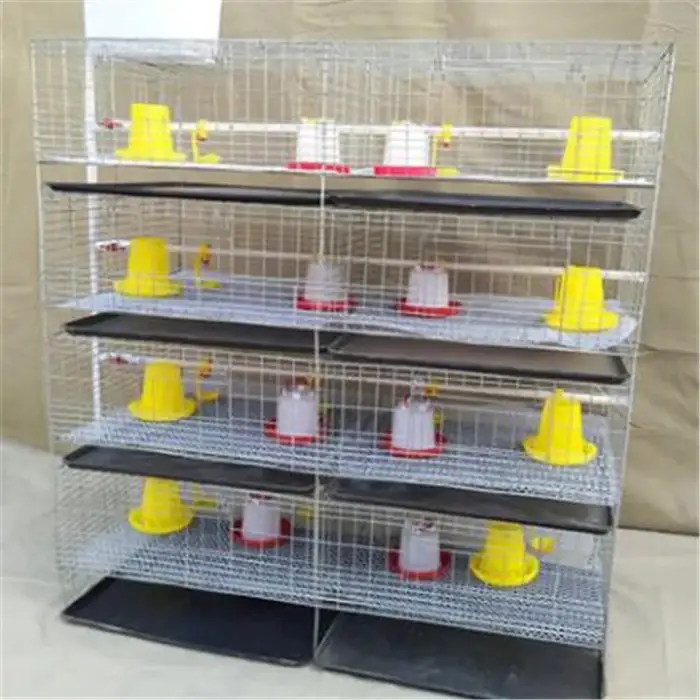 Agriculture farm  chick cage with automatic feeders