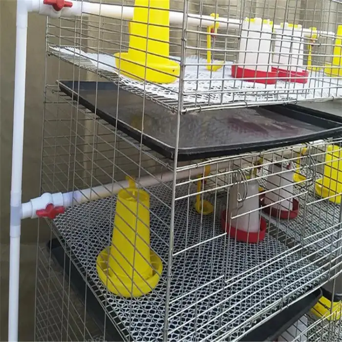 Agriculture farm  chick cage with automatic feeders