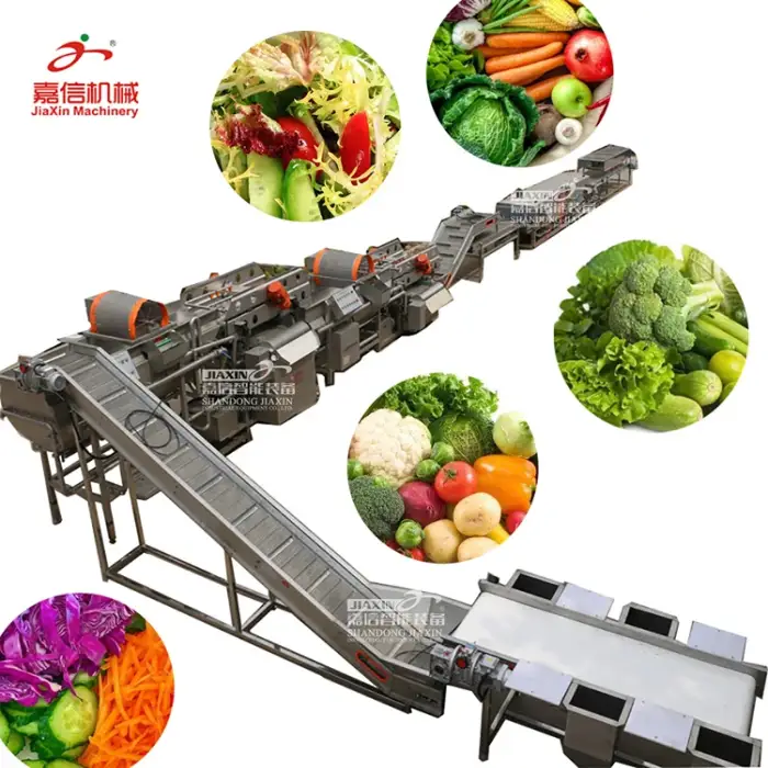 Vegetable Washing and Processing Machine