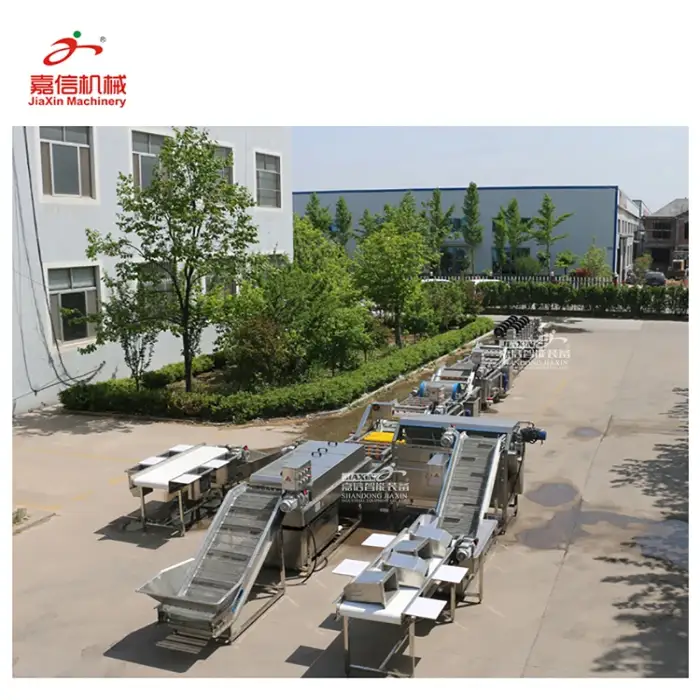 Industry used  vegetable processing machine