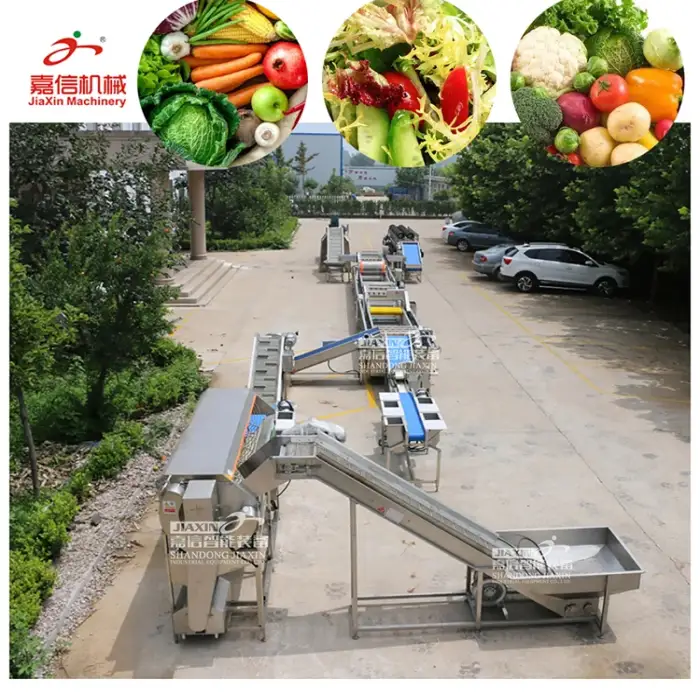 Industry used  vegetable processing machine