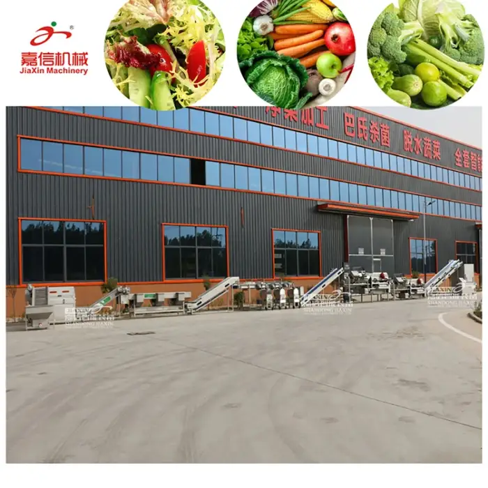 Industry used  vegetable processing machine