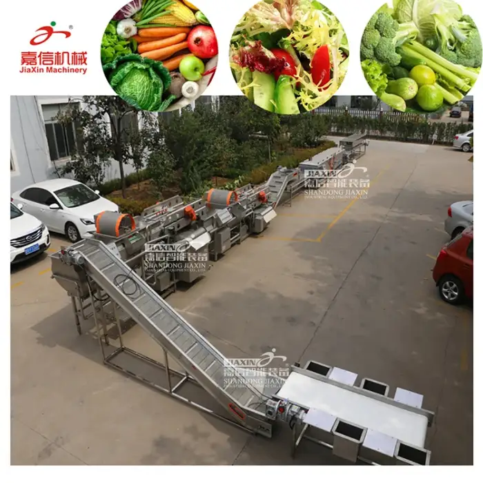 Vegetable Washing and Processing Machine