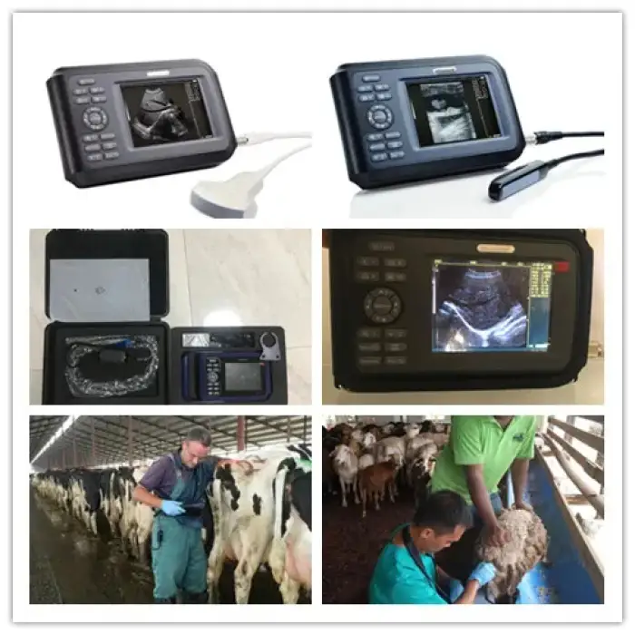 Hand held 5.6 inch veterinary medical Ultrasound Diagnostic equipment