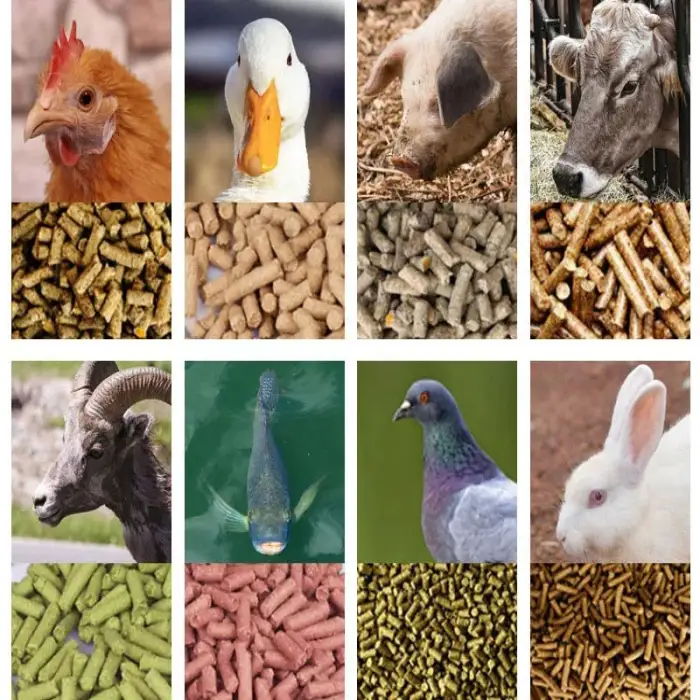 150 Feed Pellet Machine Poultry Fish Feed Processing Machine